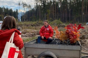 Гектари дубових дерев приземлилися в національному парку угри Гектари дубових дерев приземлилися в національному парку угри